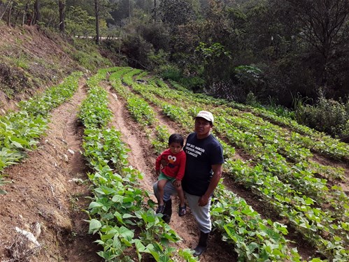 Avanzar en la sostenibilidad agroalimentaria en comunidades Lencas (Honduras)