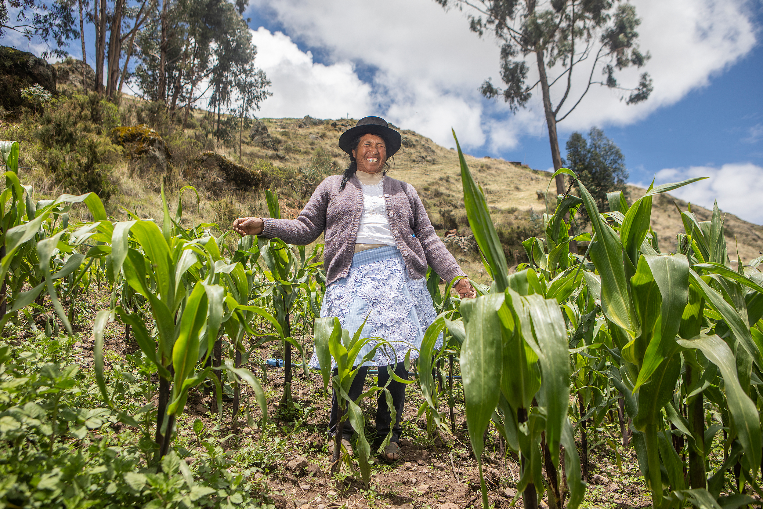 Alimentación y medios de vida. Perú. Ana Castañeda