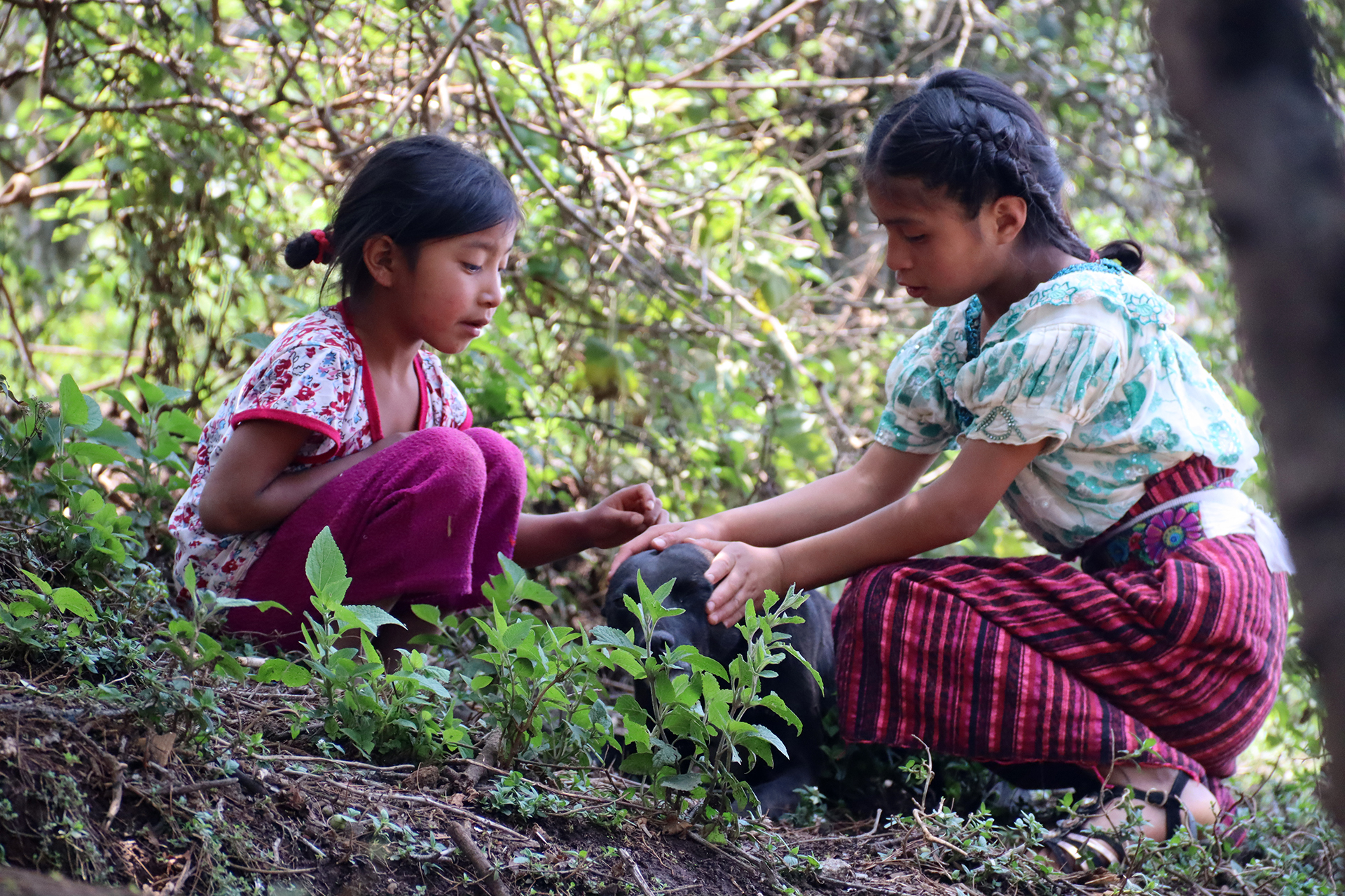 Medioambiente y cambio climático. Guatemala. Paco Blanco