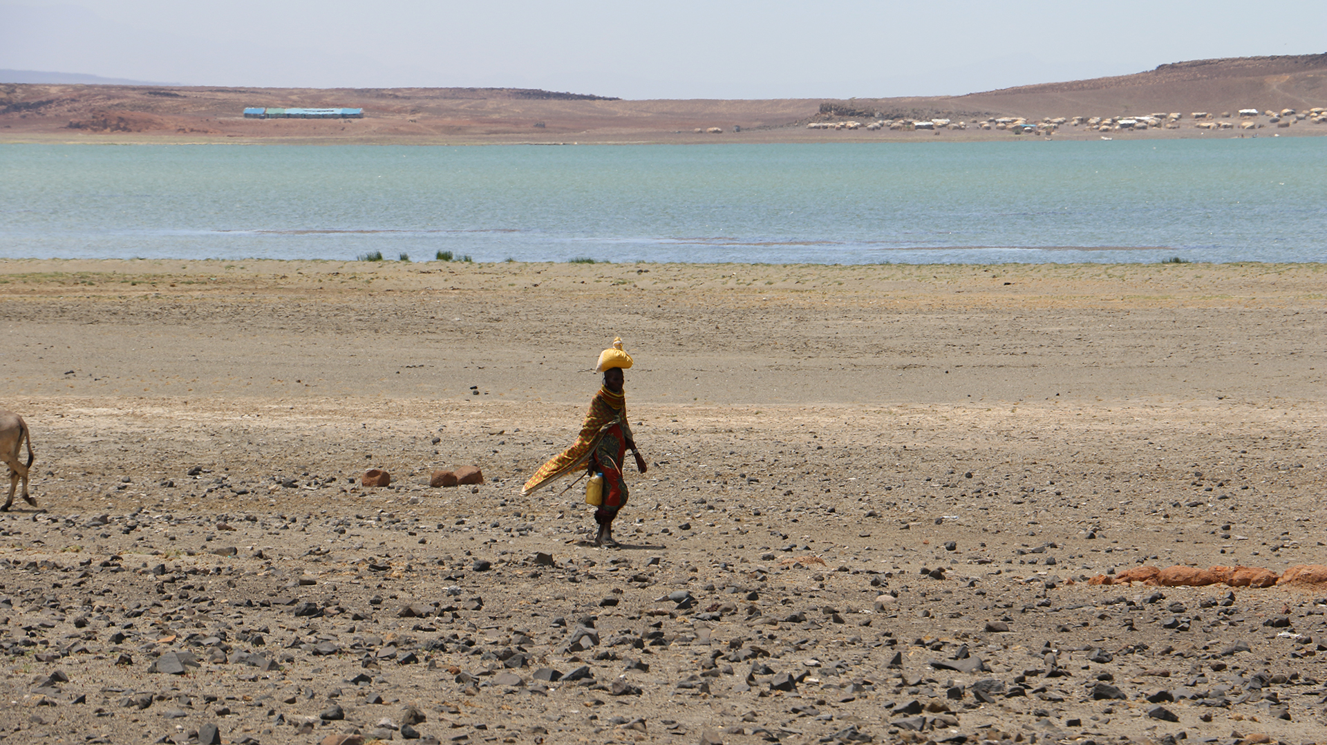 Medioambiente y cambio climático. Kenia. Angel Cano