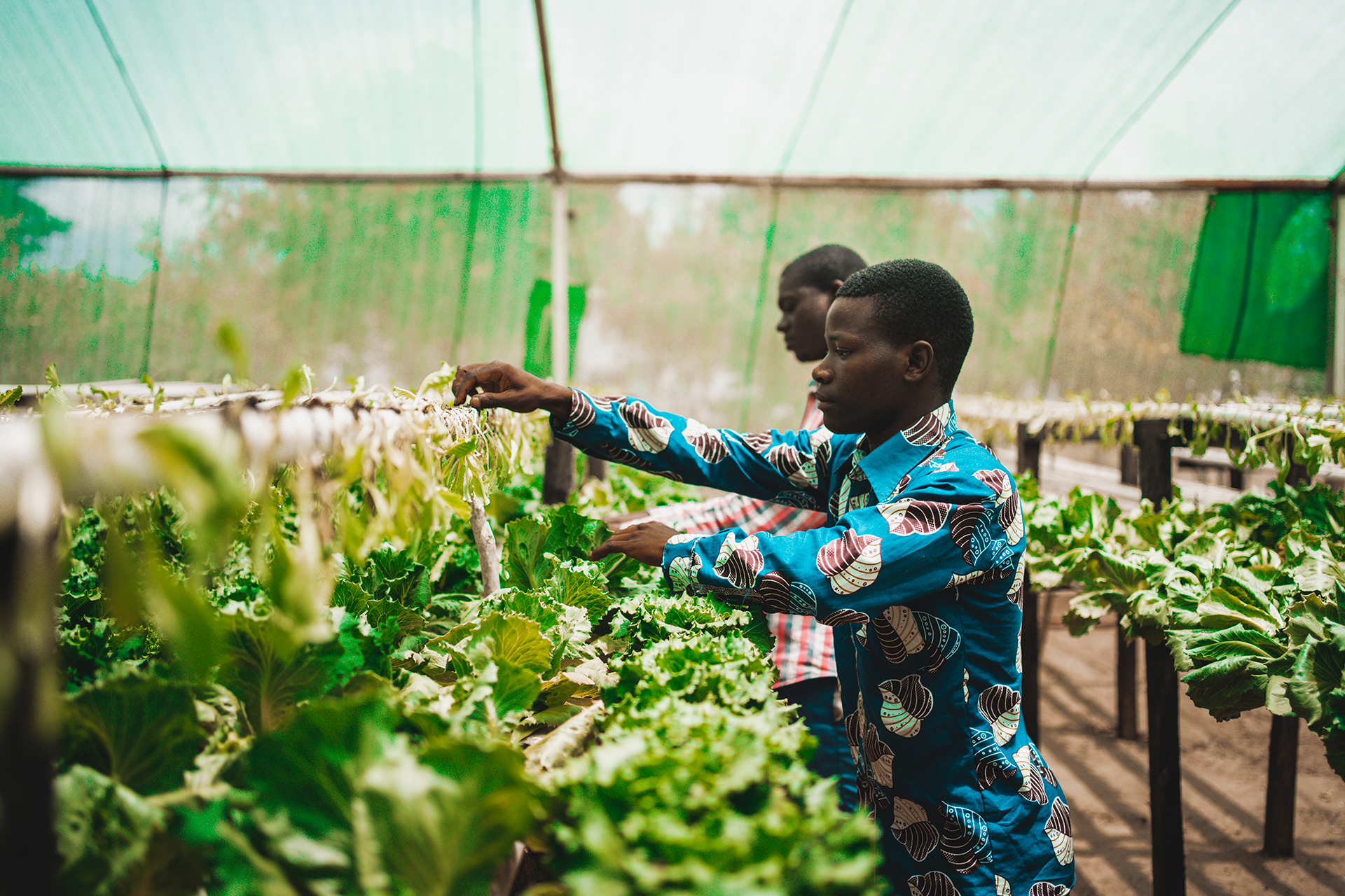 Alimentación y medios de vida. Mozambique. Javier Carbajal