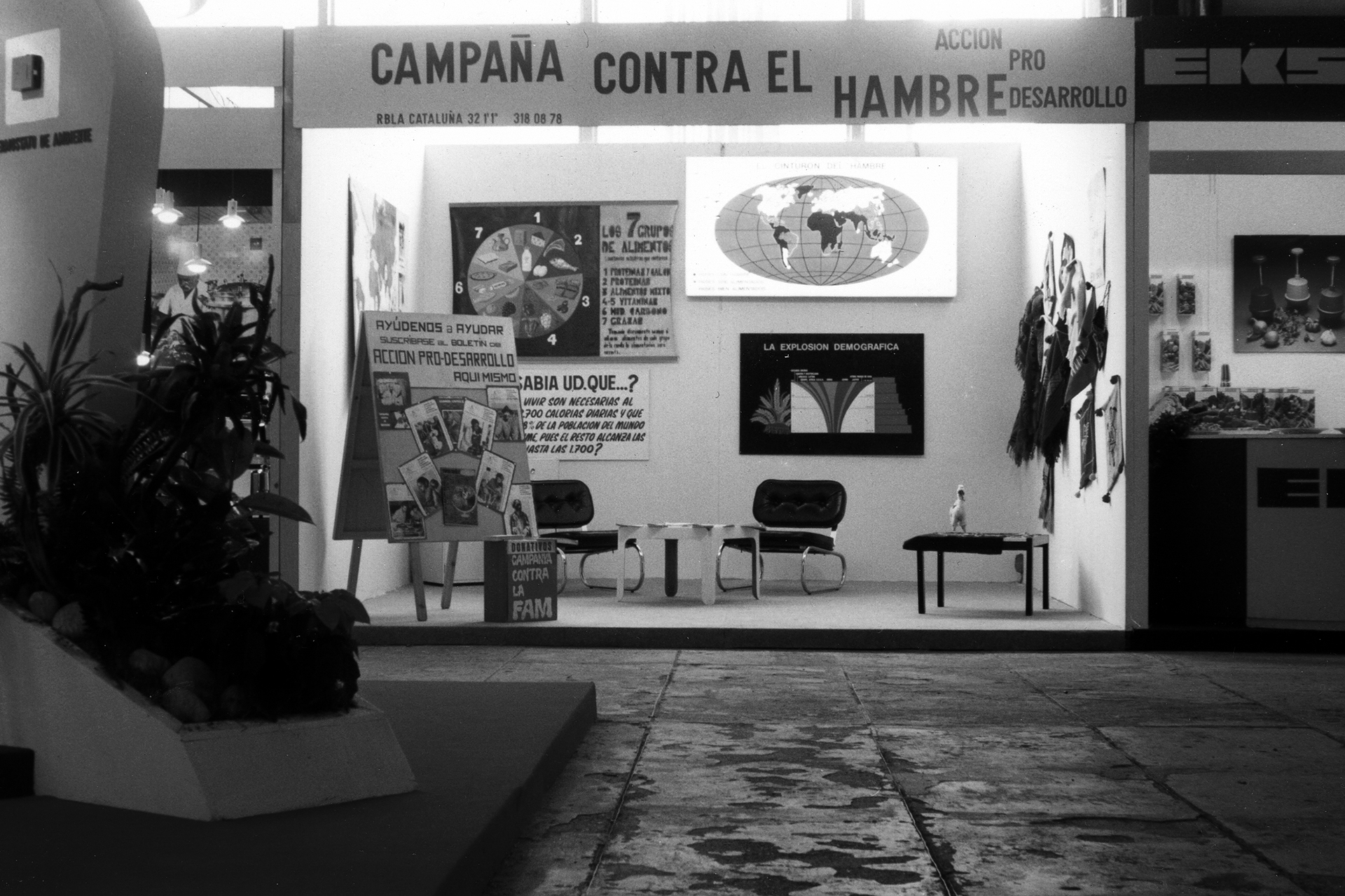 Historia de Manos Unidas