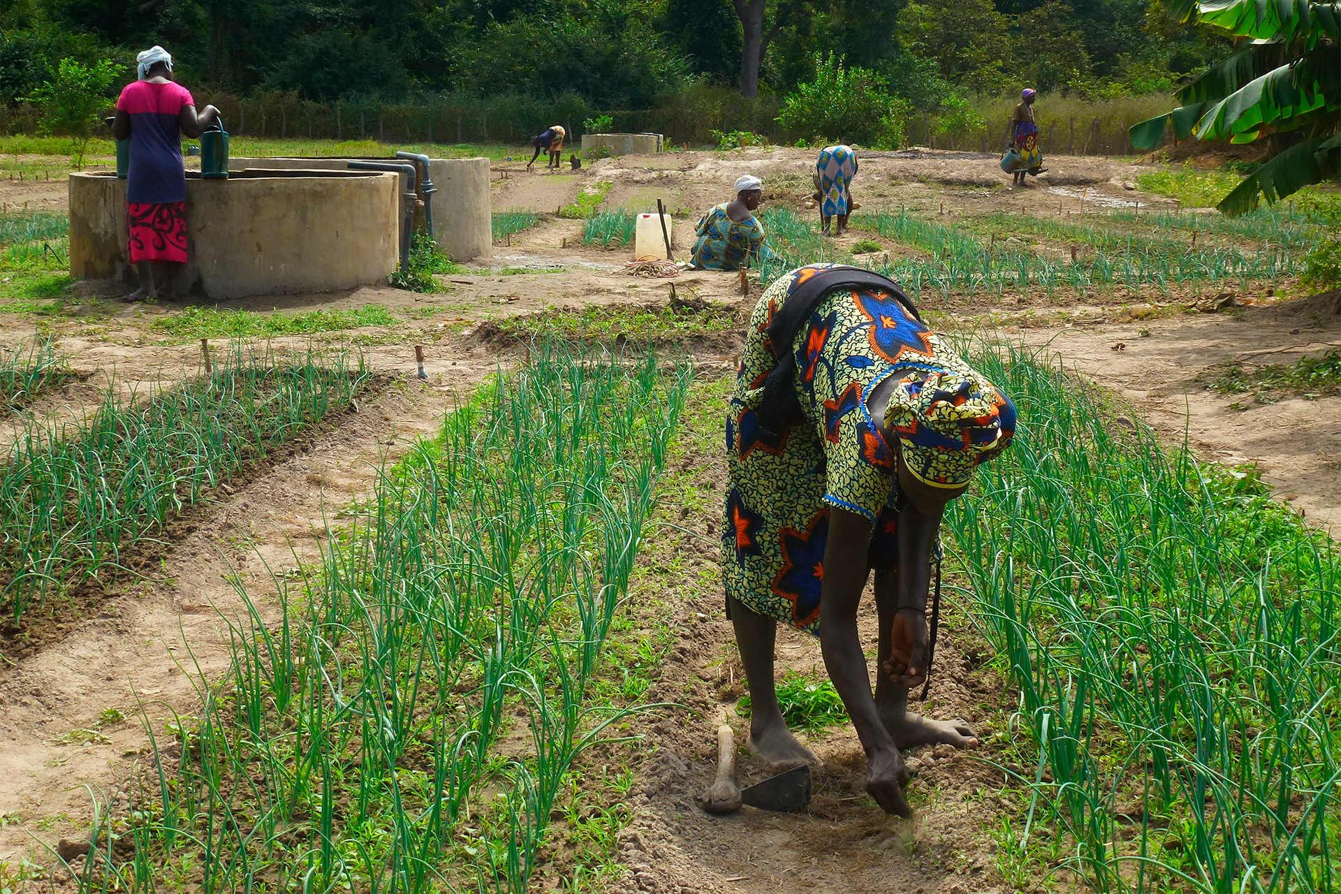 AECID Senegal 2014