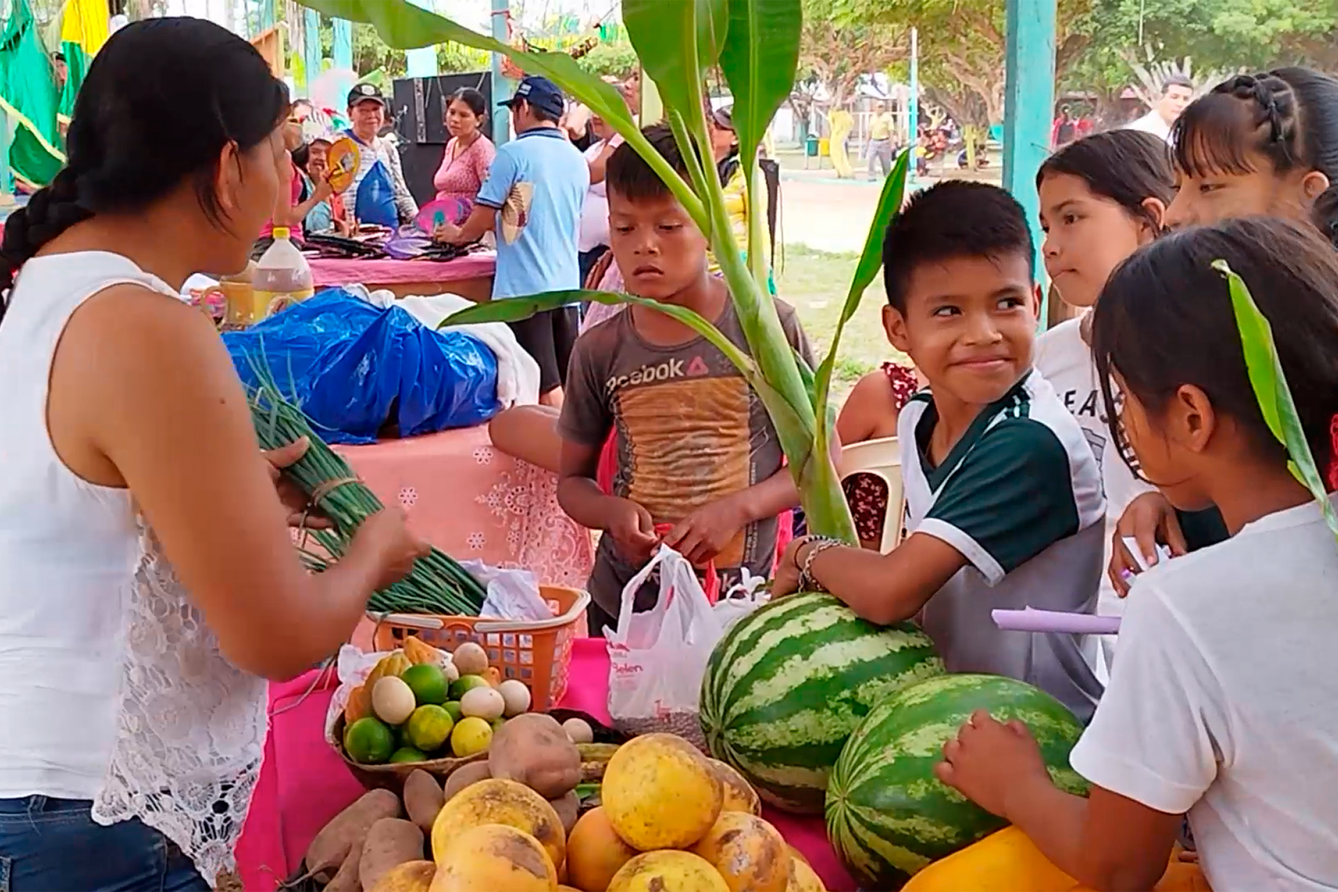 Fortalecimiento de la educación integral y el cuidado de la Amazonía