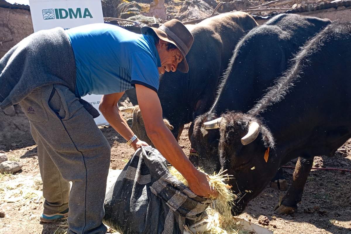 Sistemas agroecológicos frente al cambio climático en Castrovirreyna. Fase III