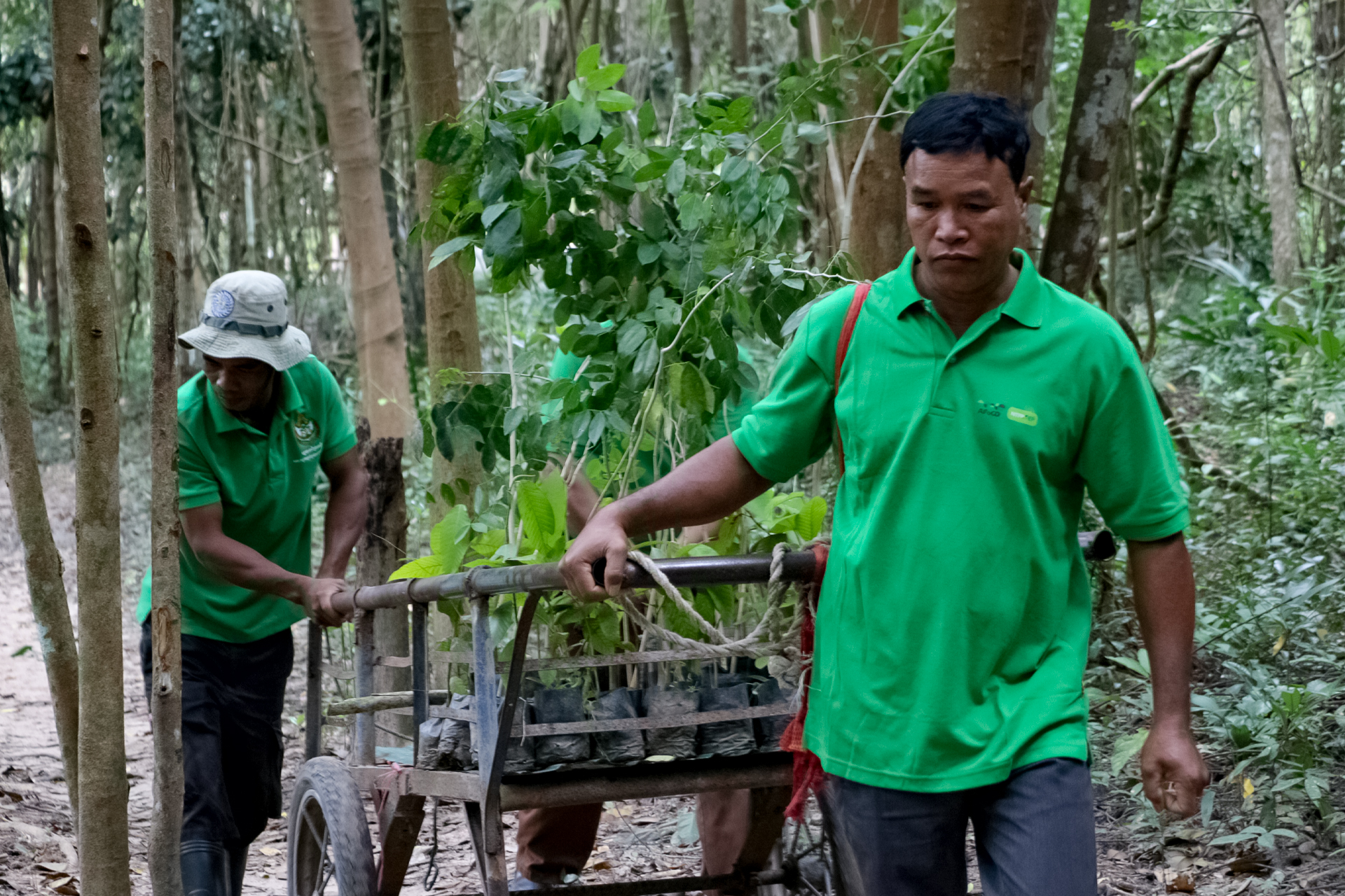 Mejora de la concienciación y activismo ecológico de la comunidad camboyana