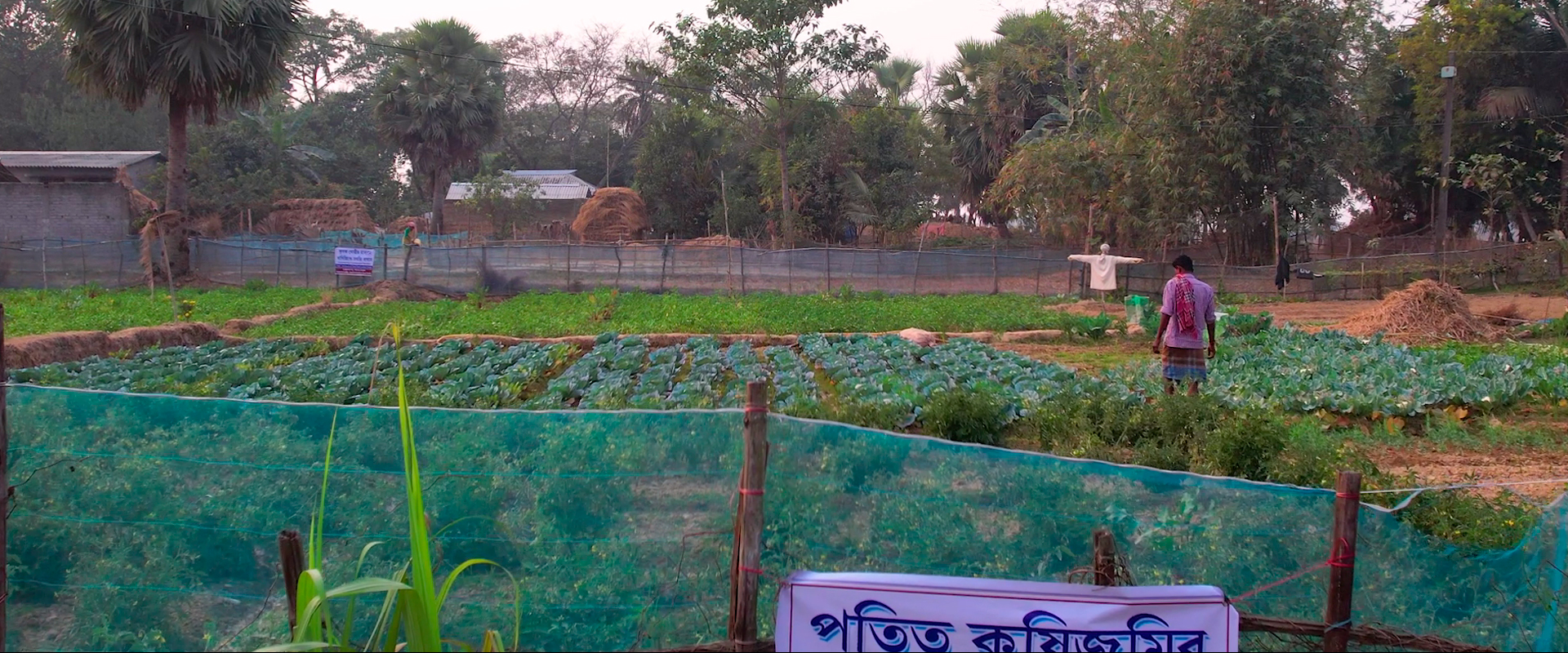 Mejora de la seguridad alimentaria y agricultura orgánica en Purba Bardhaman