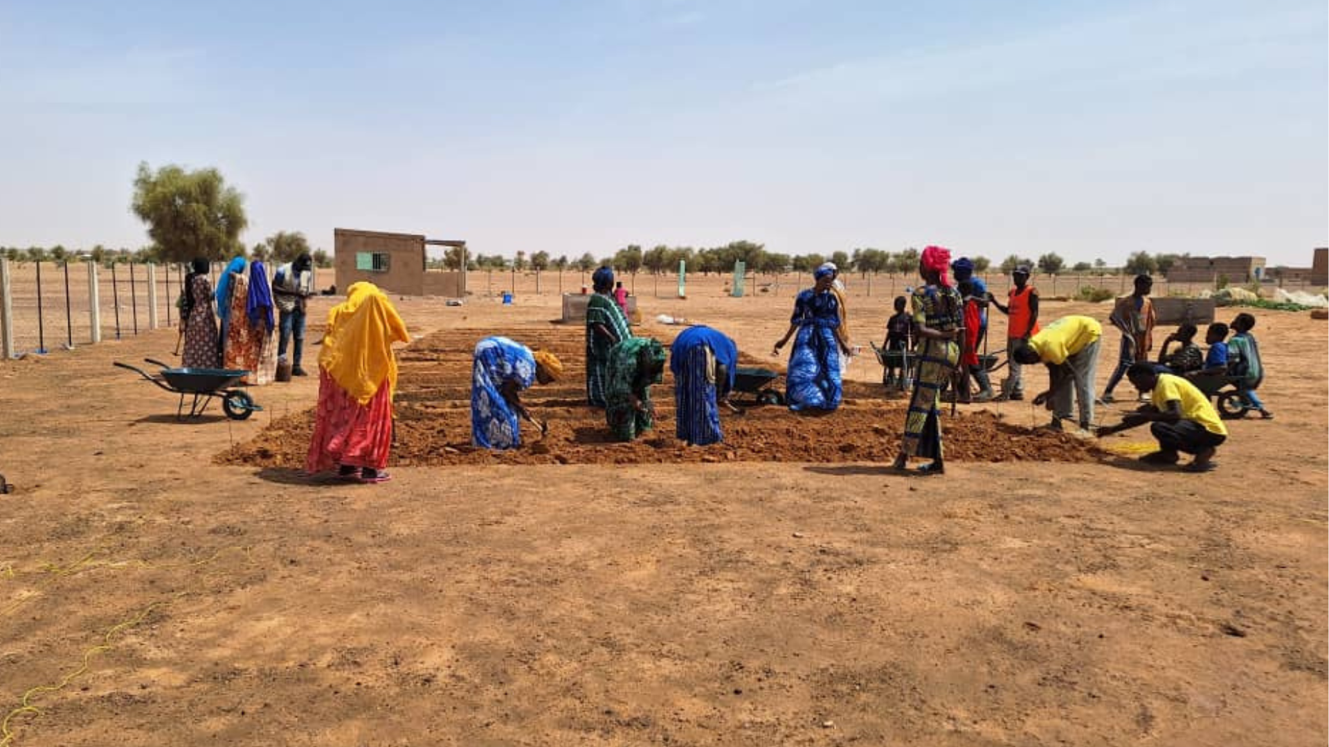 Huerts en el desierto de Maurutania. Foto Manos Unidas