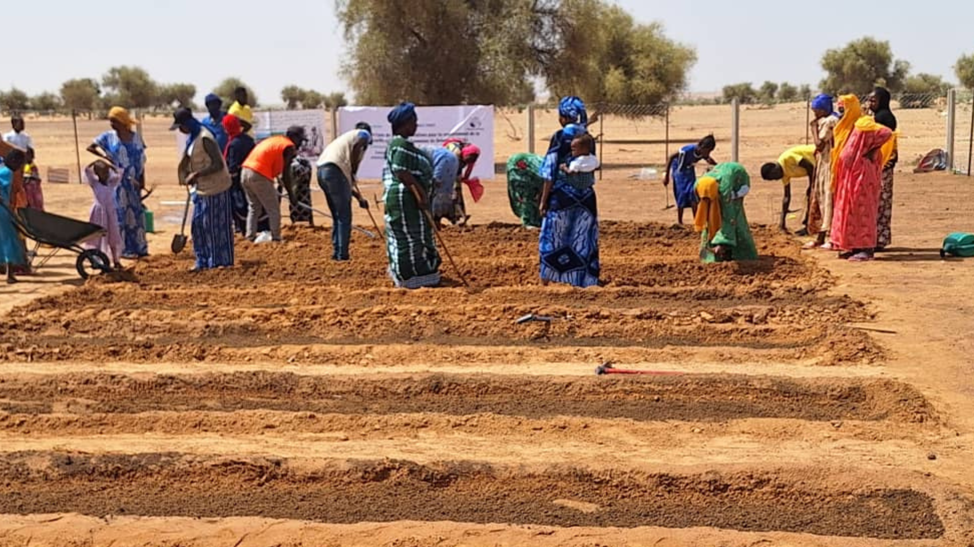 Mauritania sitema de riego solar. Foto: Manos Unidas