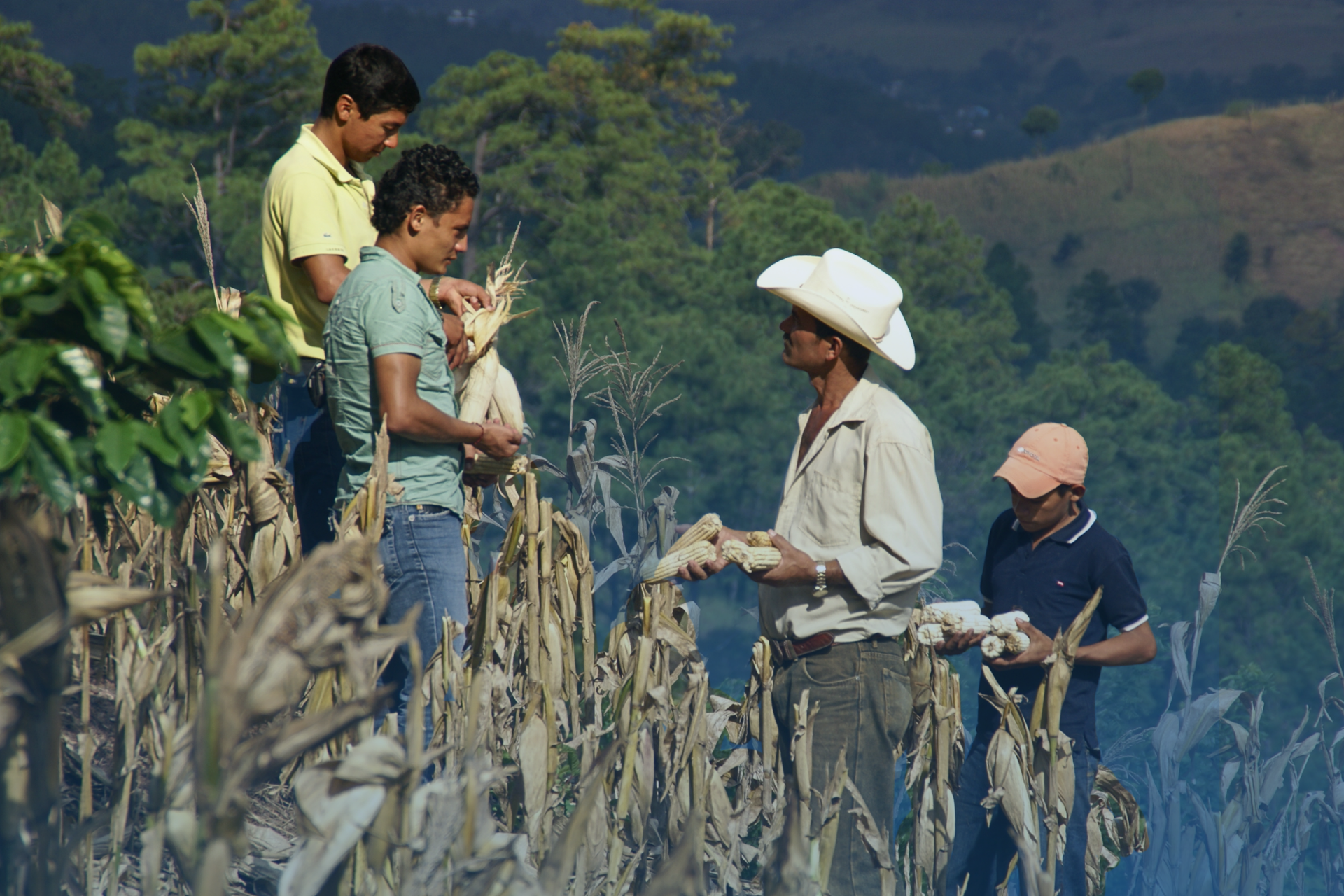 Persona trabajando en un campo
