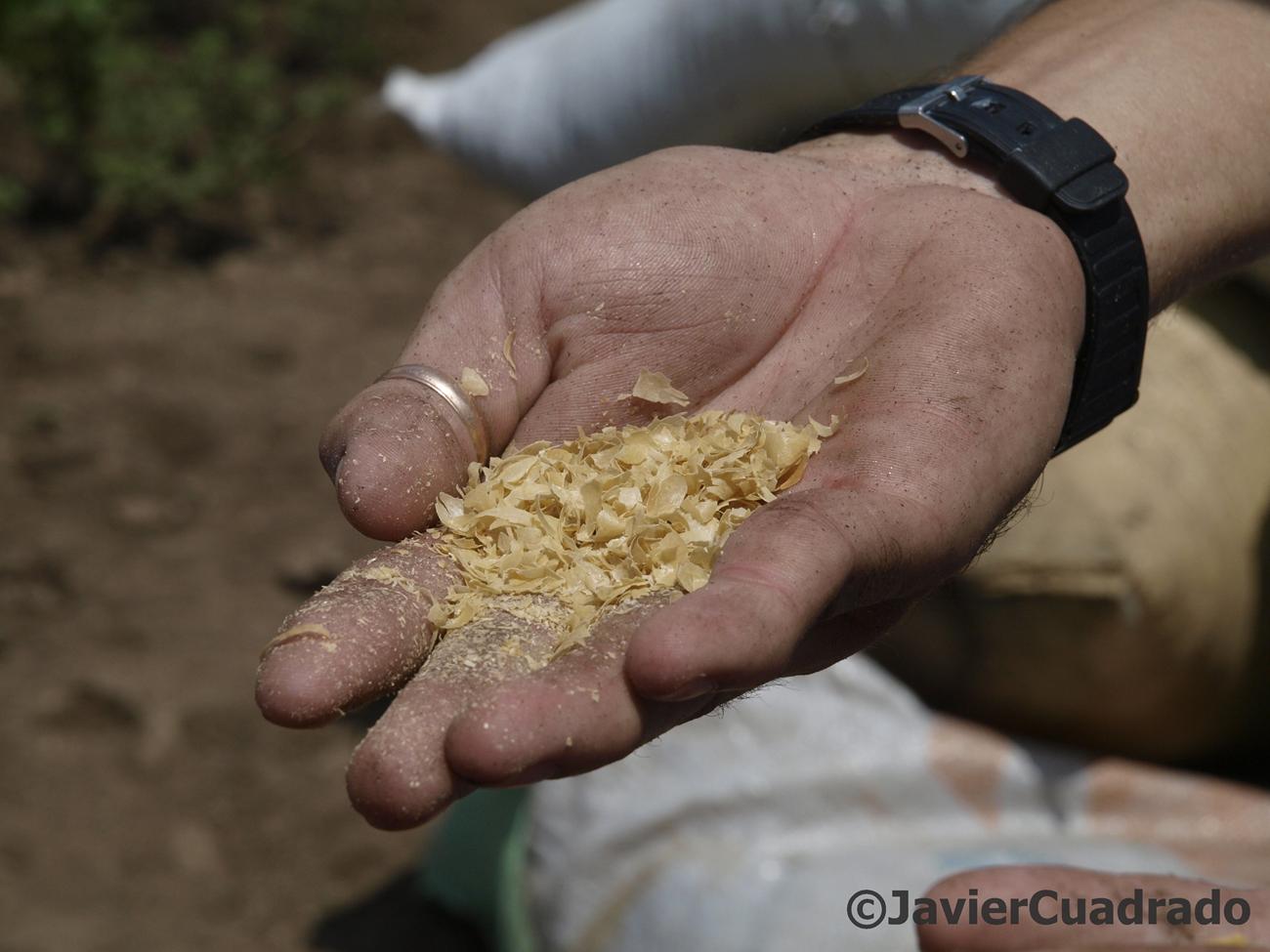 Nicaragua, proyecto agrícola