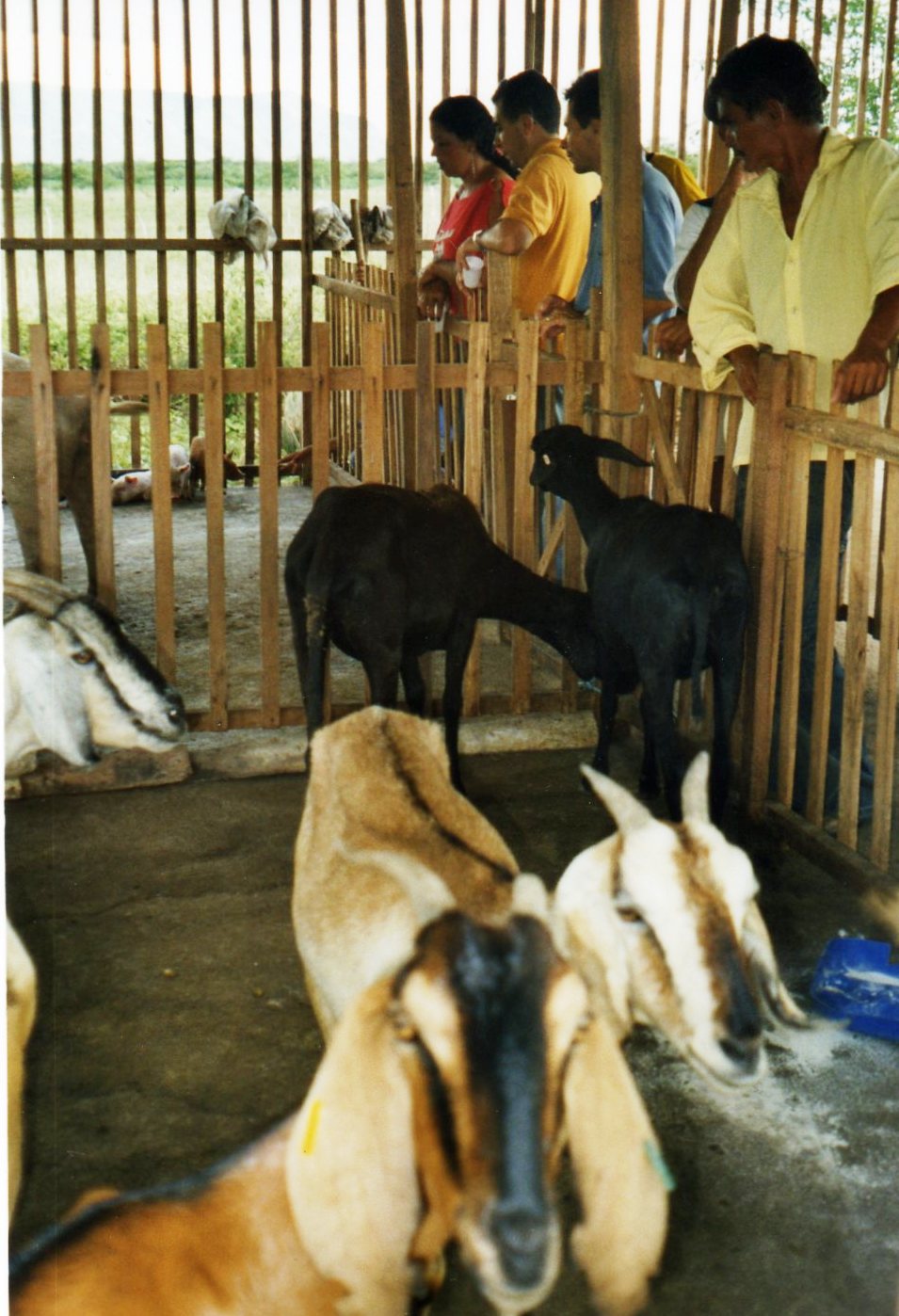 Granja en Brasil