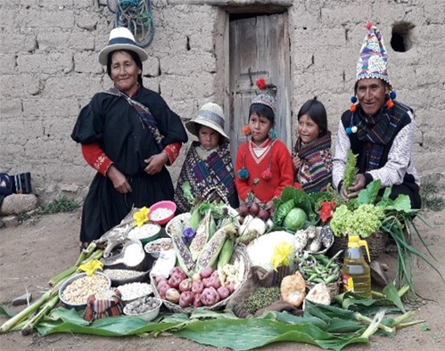Mejora de calidad de vida de familias de la Serranía del Iñao (Bolivia)