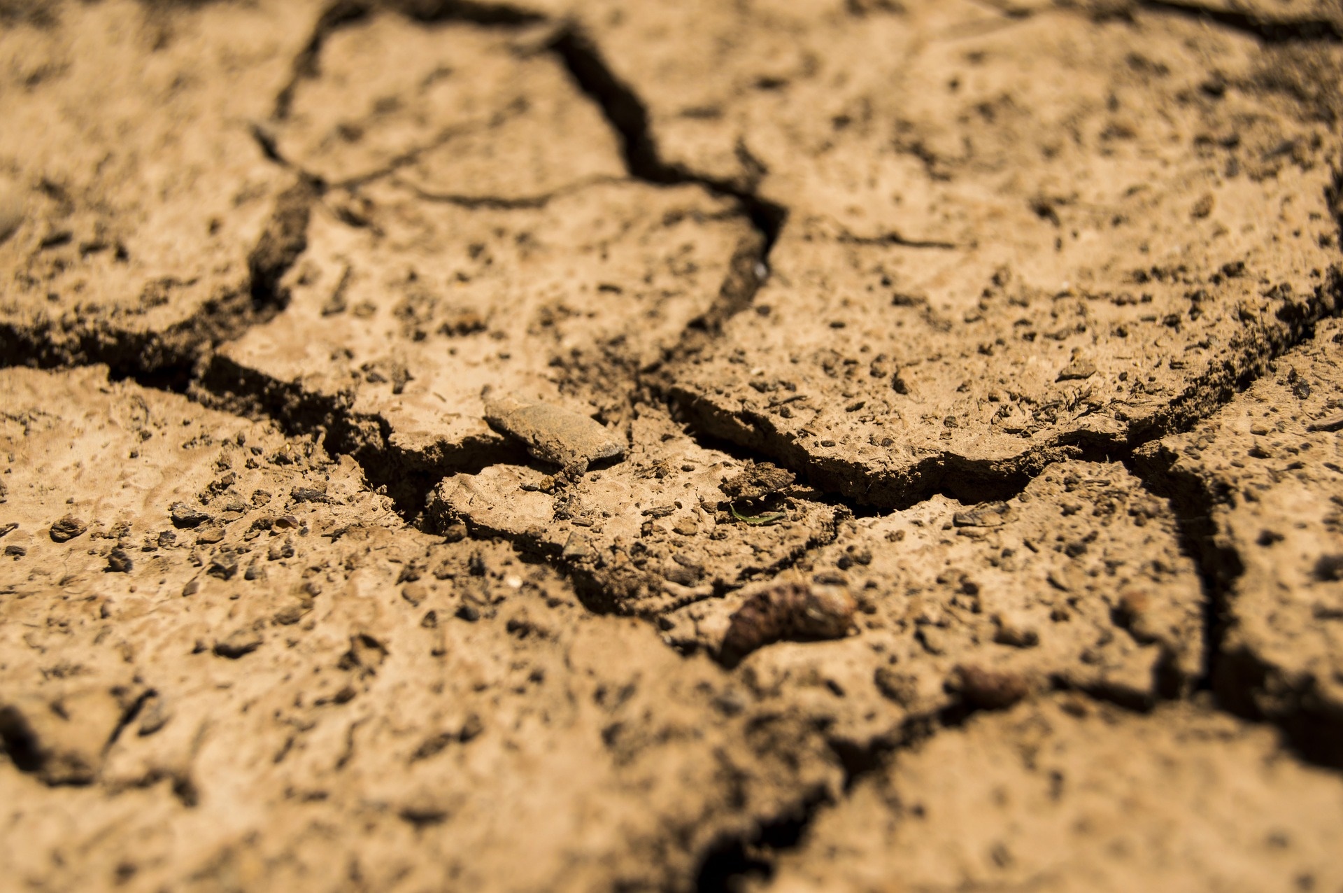 Tierra seca y agrietada