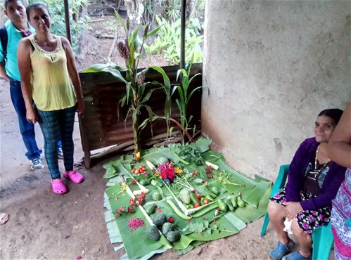 Seguridad alimentaria y dignidad campesina en el Occidente de El Salvador