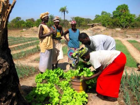 Proyecto agrícola y agua Senegal