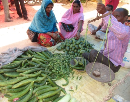 Campesinos de Sipahijala y Gomati