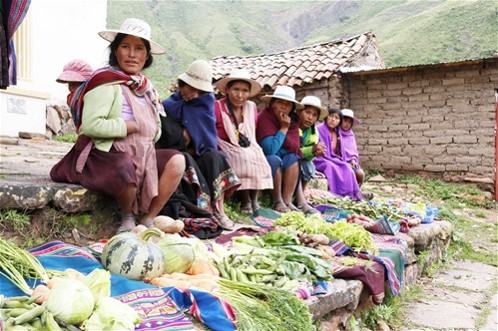 Fortalecimiento de la base productiva y gestión de las organizaciones social. Boliviaes