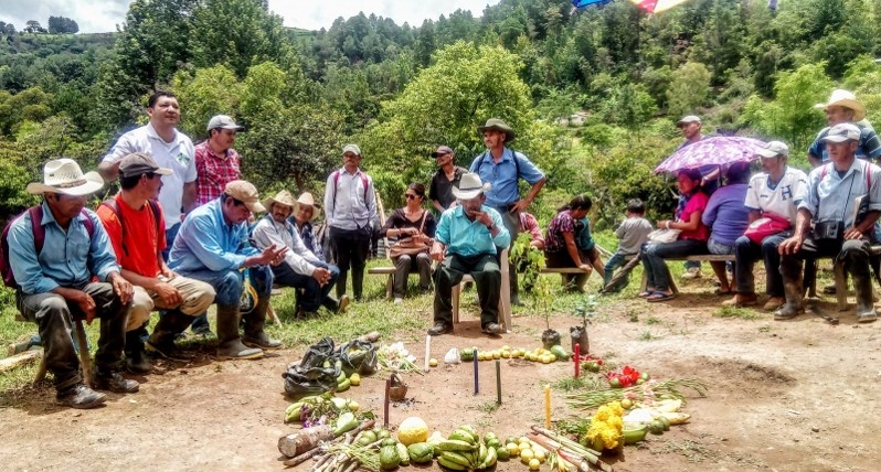 Promover el desarrollo productivo en comunidades del Municipio de Chaqui