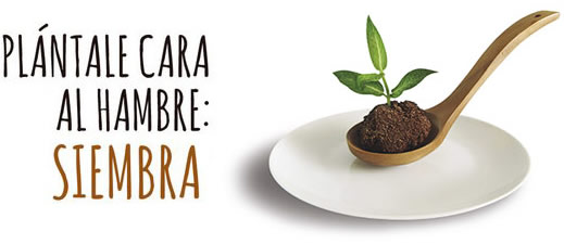 Plántale cara al hambre: siembra