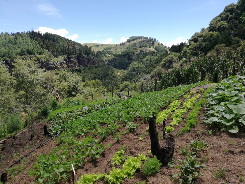 ÑAROAVEI TEKO KAVI: ESPERANZA DE VIDA, Caminemos por un chaco sostenible con seguridad y soberanía alimentaria y pleno ejercicio de derechos”. Bolivia