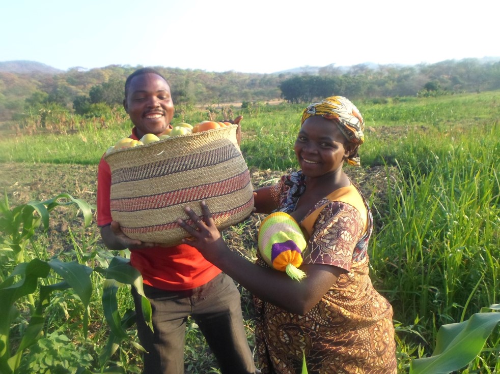 Programa de desarrollo socioeconómico de mejora de producción agropecuaria, impulso de la comercialización y fortalecimiento asociativo en Tanzania