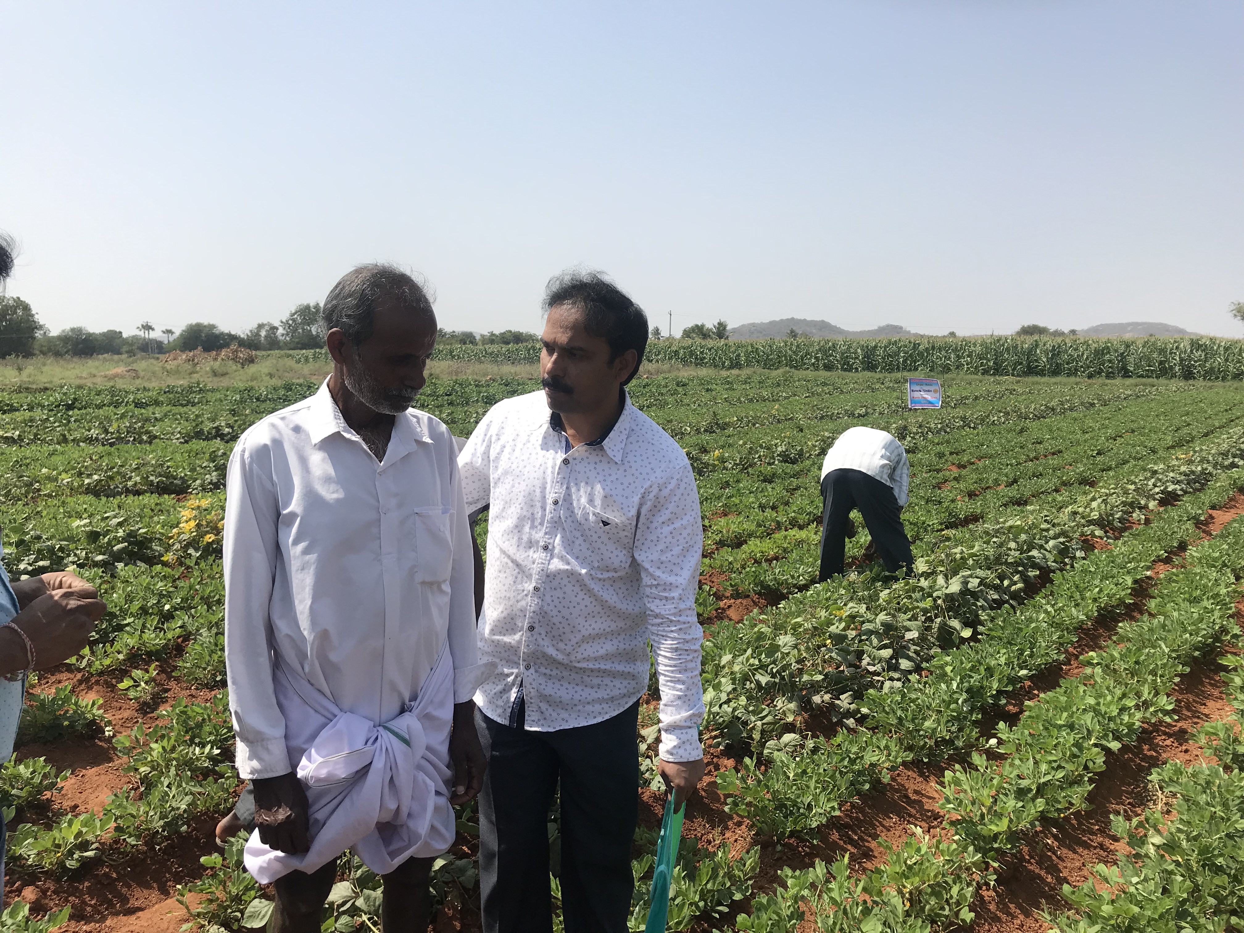 Mejora Seguridad Alimentaria INDIA