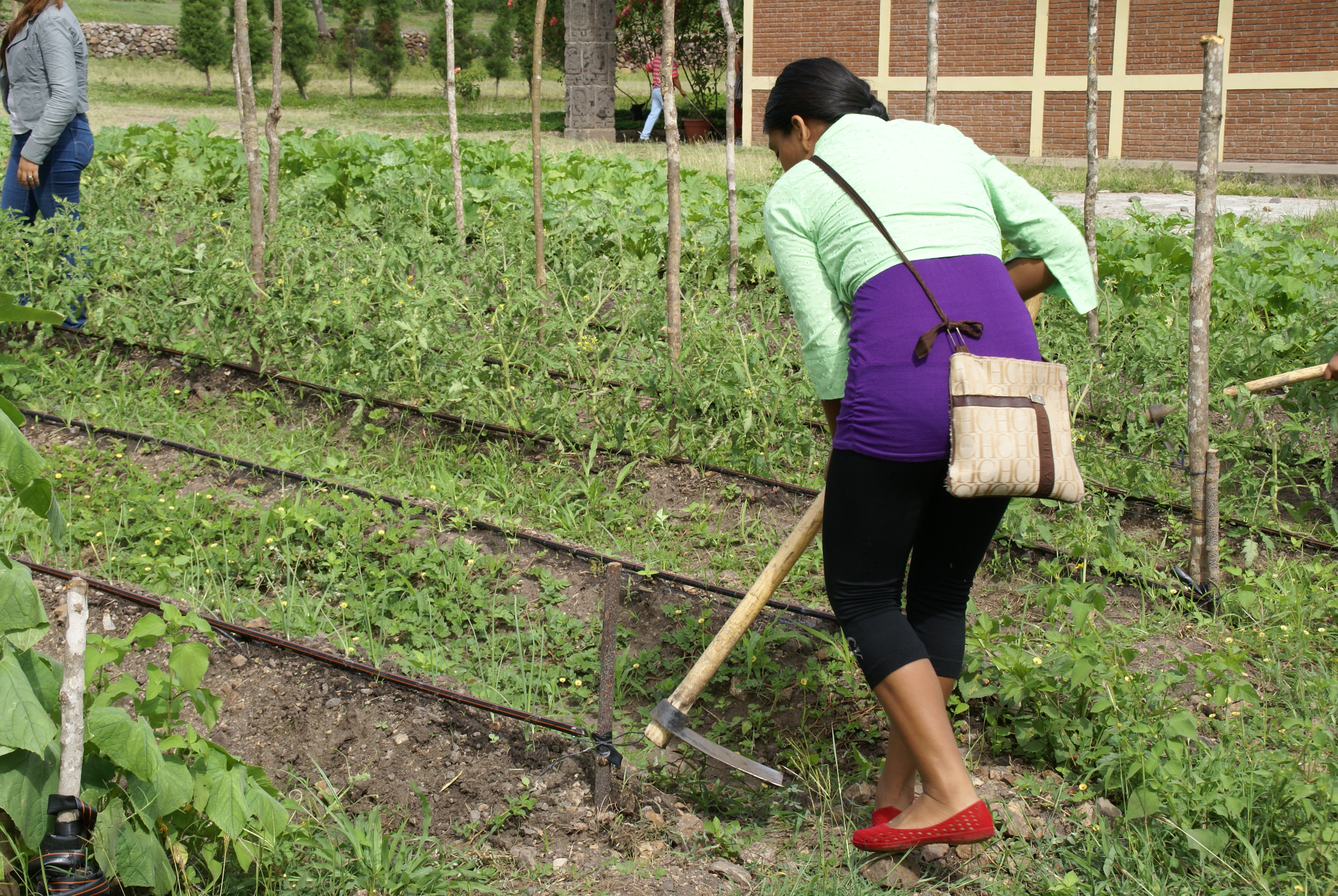 Gestión seguridad alimentaria y protección del agua