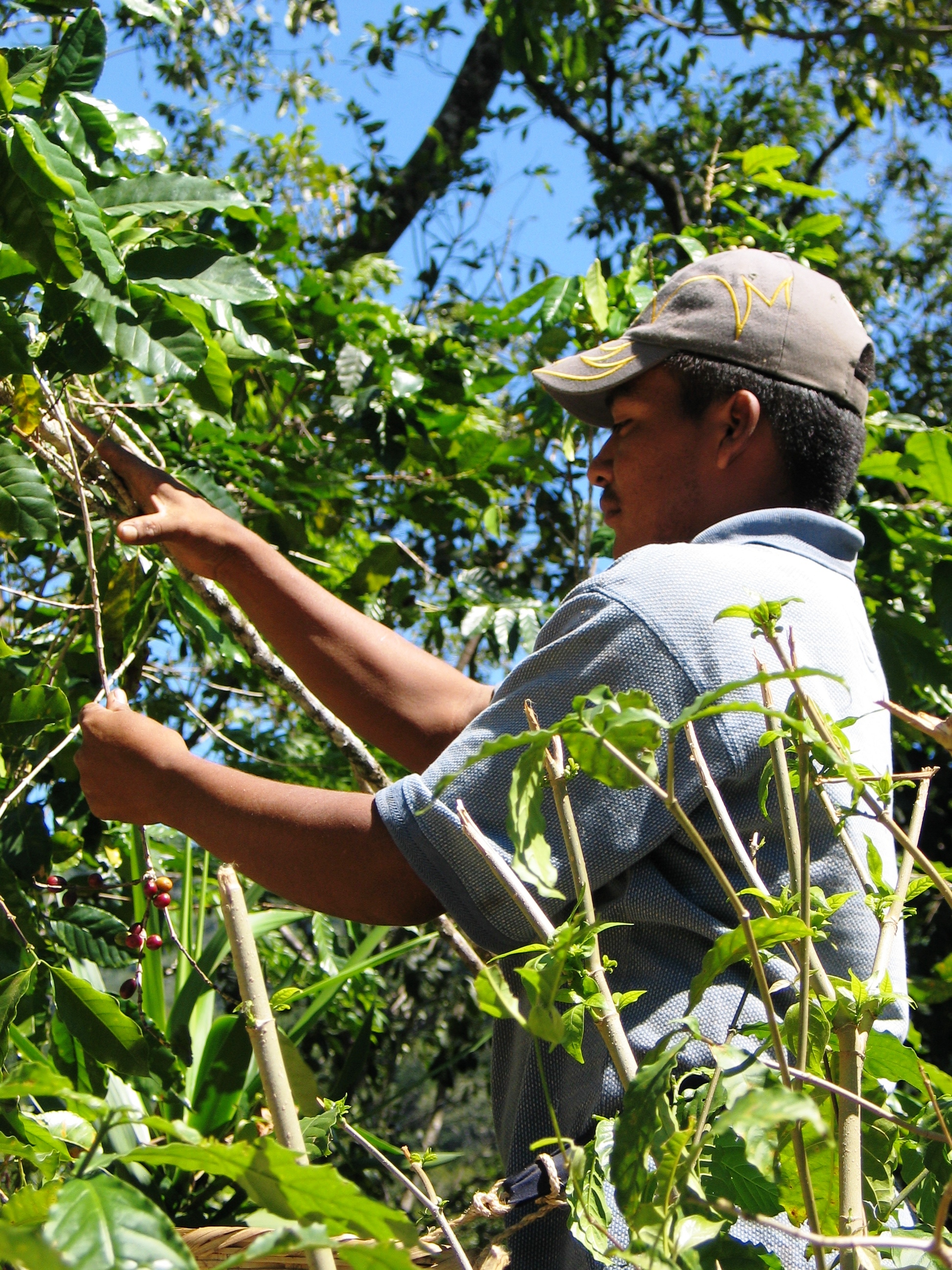 Agroecología y alternativas de desarrollo ante el cambio climático