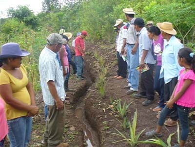 Consolidación y expansión de la agricultura sostenible en Veraguas