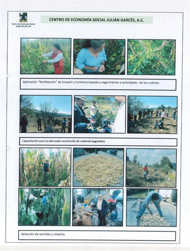MÉXICO – AMÉRICA (MEX/70526/LVI B)AGRICULTURA AGROECOLÓGICA Y GENERACIÓNDE INGRESOS
