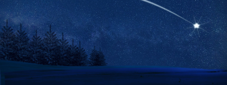 Que la Navidad sea un símbolo de amor y paz en el corazón de todo el mundo.