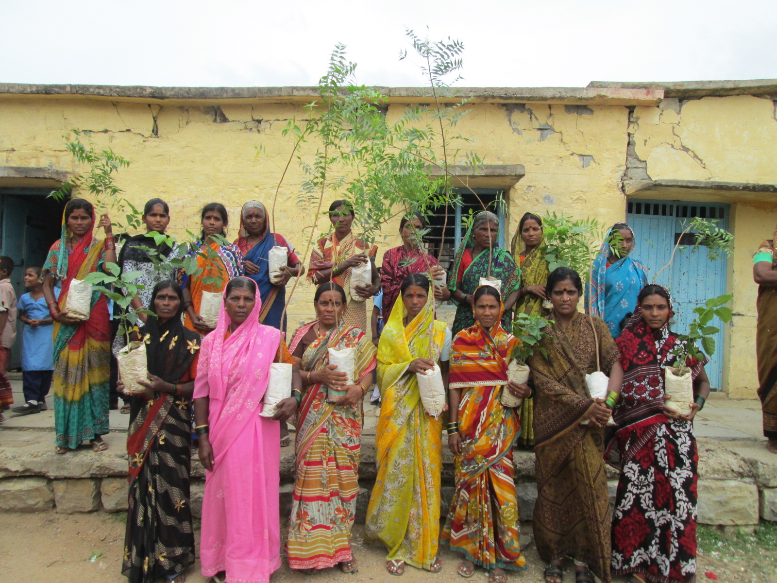 Mujeres de la India preparas para plantar árboles
