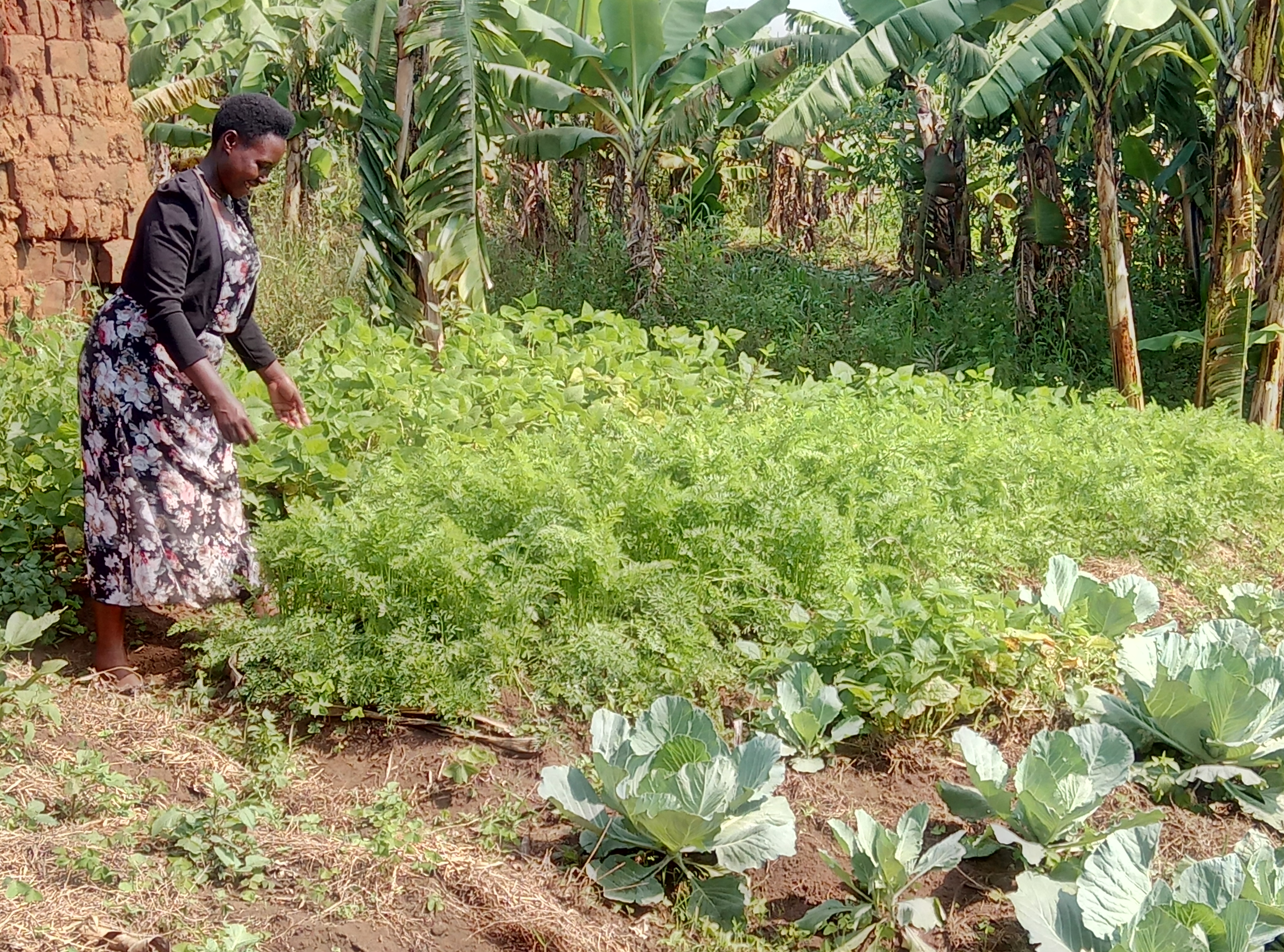 Ayuda familias campesinas Uganda