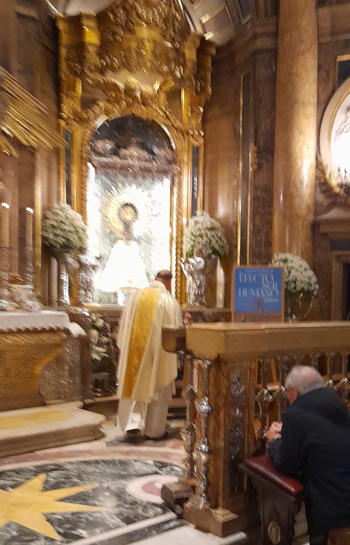 Presentación Campaña "El efecto ser humano" a la Virgen del Pilar