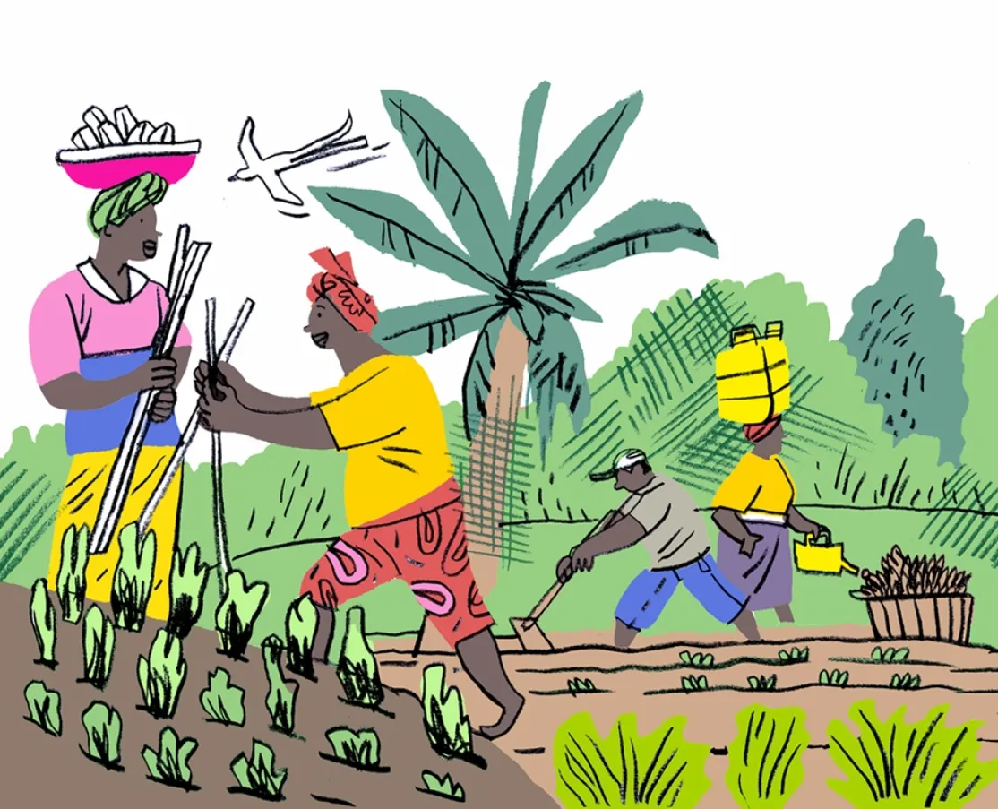 Una de las ilustraciones del dossier Garifuna