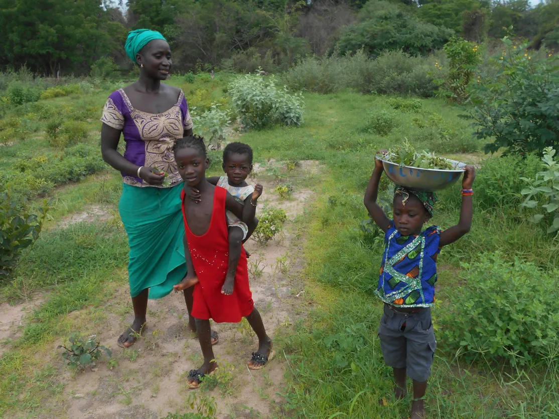 700 mujeres senegalesas mejoran sus vidas. Foto: Manos Unidas