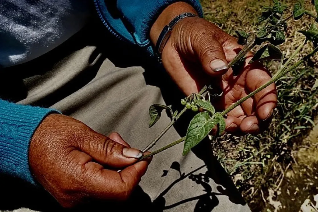 Mujer y cambio climático, en defensa de la tierra. Foto:Manos Unidas en Ecuador