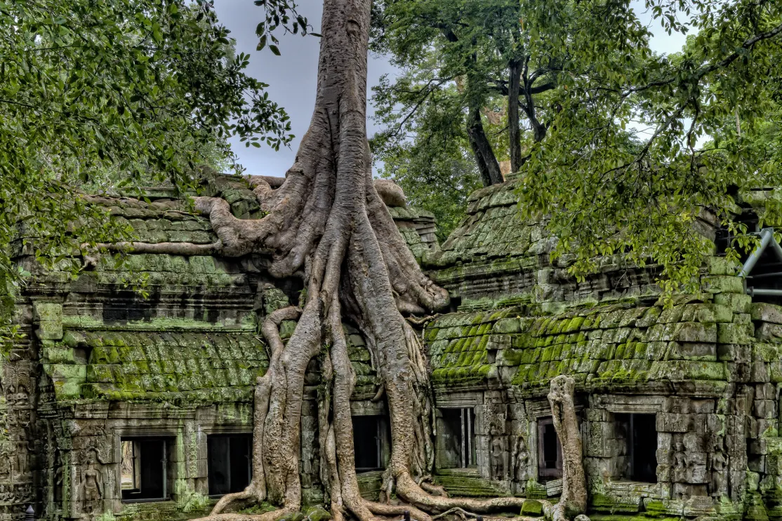 Paisaje de Camboya