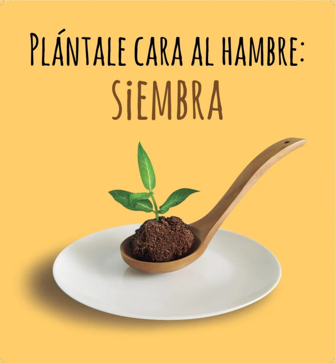 Cartel ganador Premio Manos Unidas de Carteles. Autora:Teresa Calbó