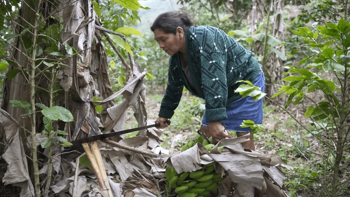 Día Internacional de las Mujeres Rurales 2022 (15 de octubre)
