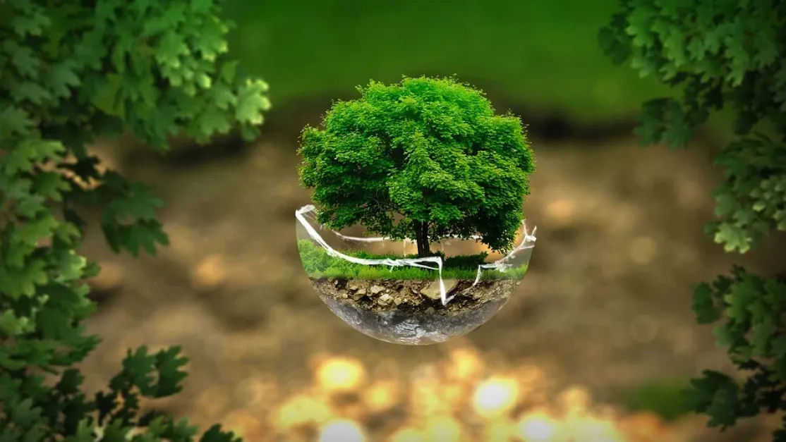 Día Mundial del Medio Ambiente 2021 (Foto de thommas68)