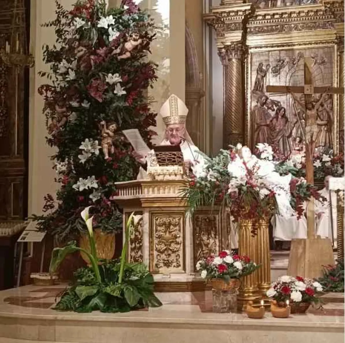 Celebración Catedral de Sigüenza.