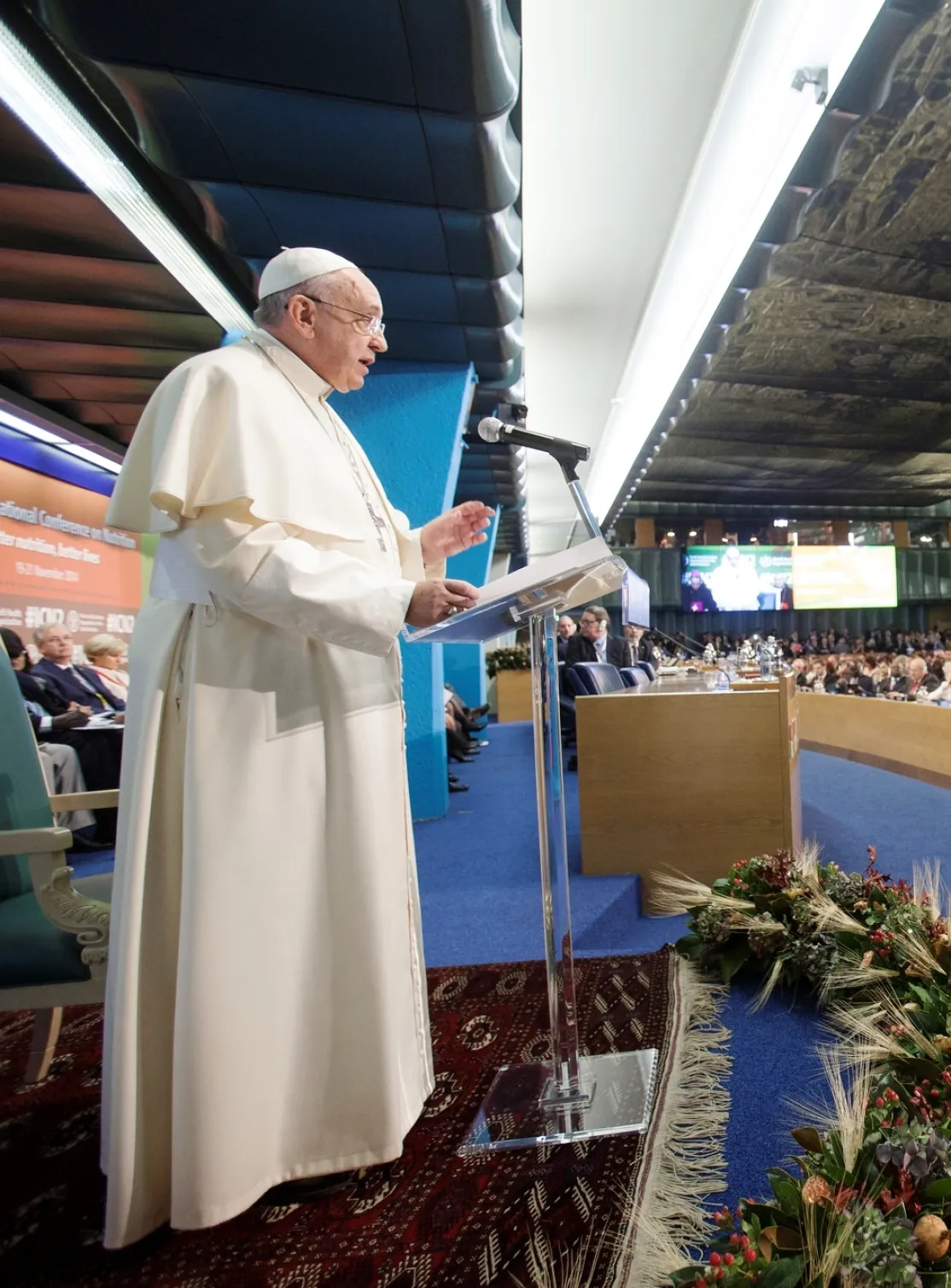 El Papa Francisco en la FAO. Foto:FAO