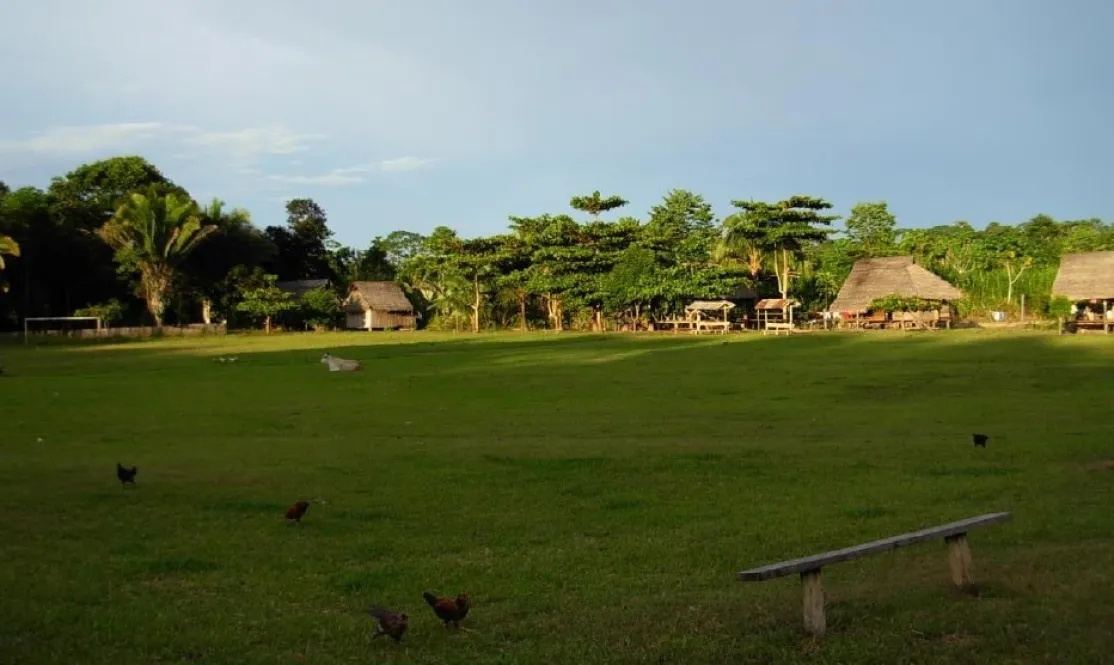 Violencia y deforestación en la Amazonía peruana - Instituto del Bien Común - Manos Unidas