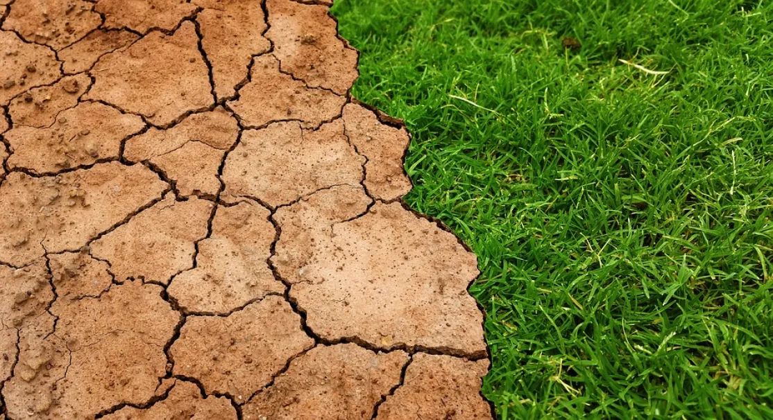 Cumbre sobre el Clima de las Naciones Unidas