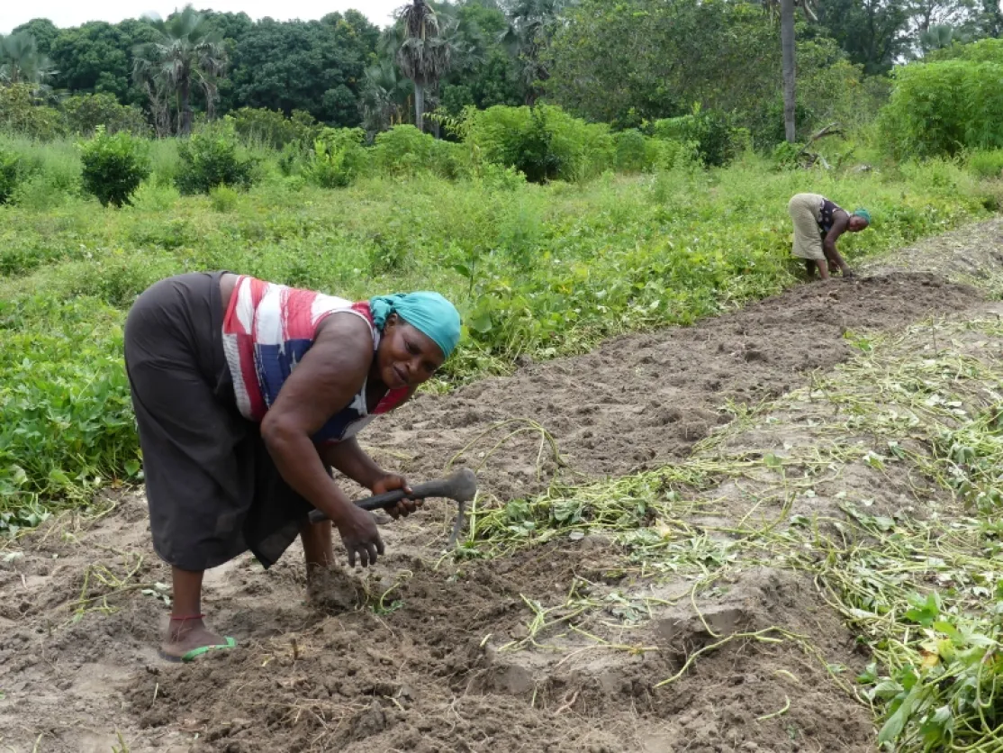 Noviembre marca un impulso decisivo para el Programa Karonghen 4 en Casamance. Fotografía: Asociación CPAS.