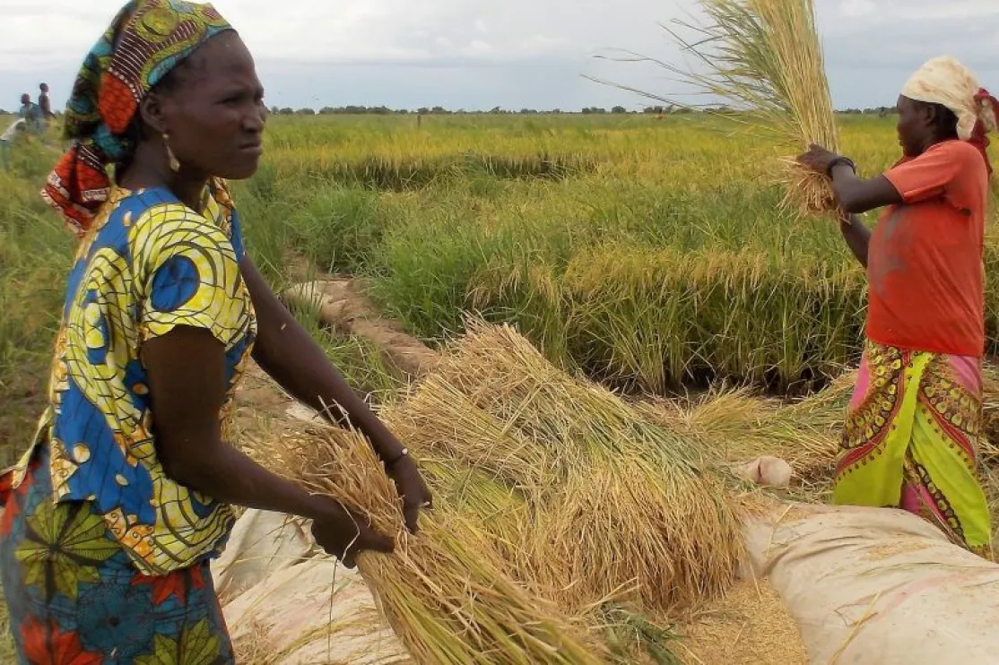 Chad - Foto Belacd–Cáritas de Lai
