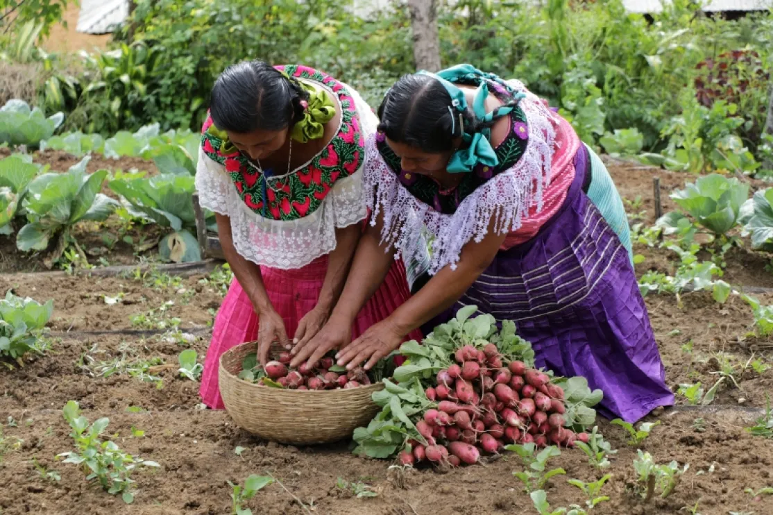 Un mayor acceso a los recursos productivos por parte de las mujeres. Fotografía: Javier Mármol | Manos Unidas