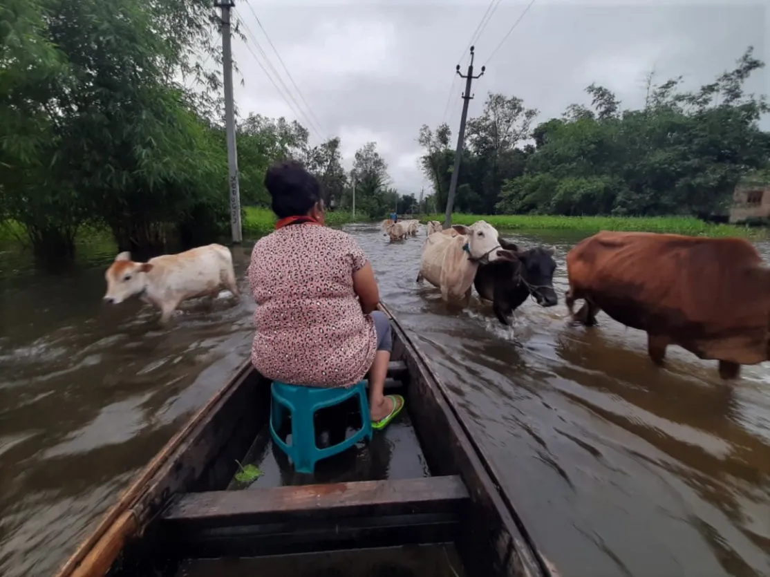 Inundaciones en el estado de Assam. Foto: Manos Unidas